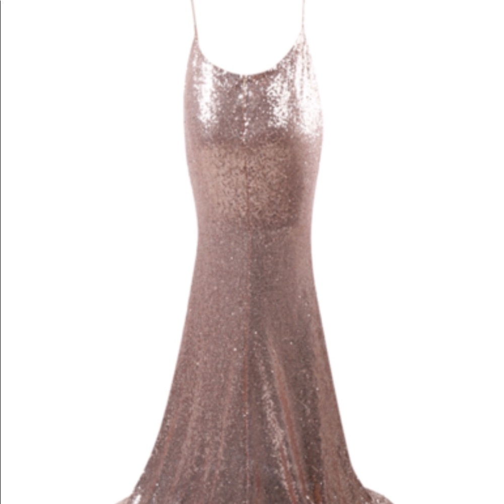 Rose Gold Maxi Dress NWOT - Picture 2 of 5